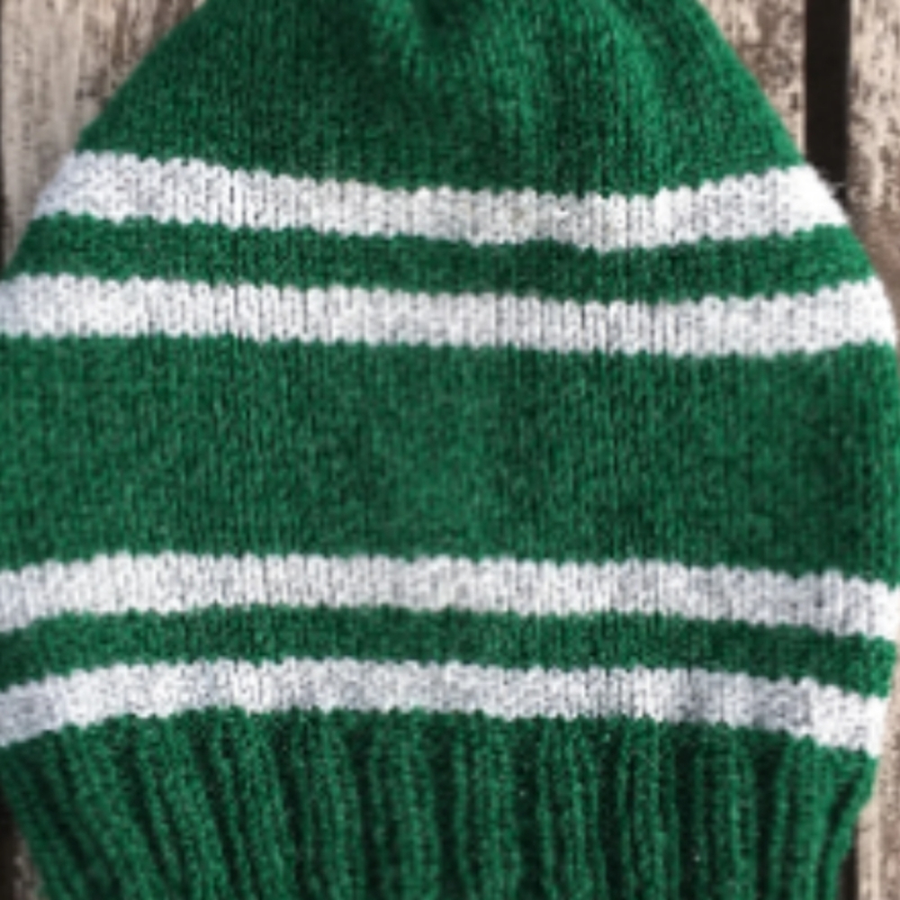 Harry Potter inspired Slytherin house hat